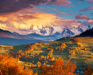Wandcirkels Herfst Gouden herfstbladeren in zonlicht  © Leonid Tit