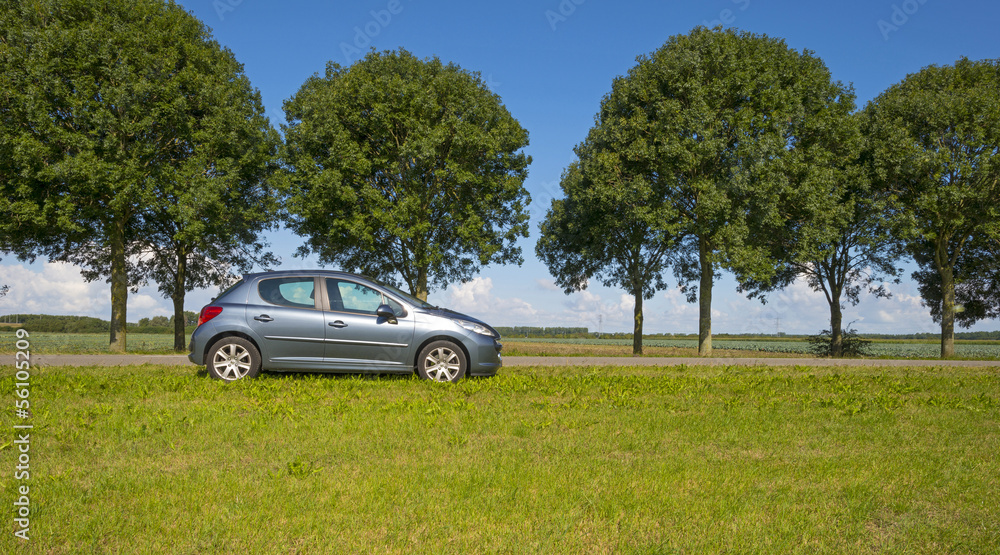 Car parked along a countryside road in summer