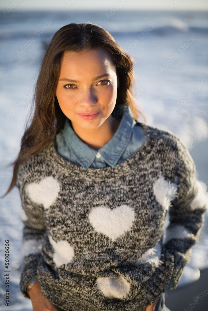 Smiling gorgeous woman with pullover posing Smiling gorgeous woman with pullover posing
