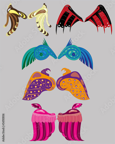 Set of fantastic wings.