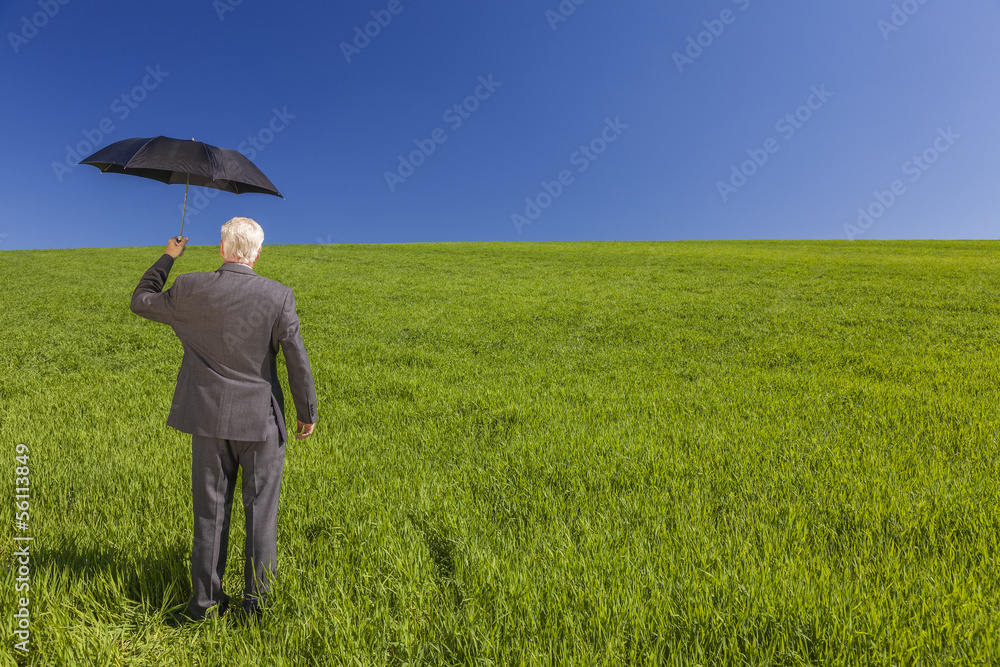 Businessman In A Green Field With An Umbrella Businessman In A Green Field With An Umbrella
