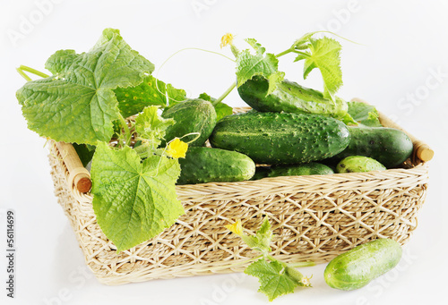 Tableau sur toile Fresh cucumbers in a basket against light background