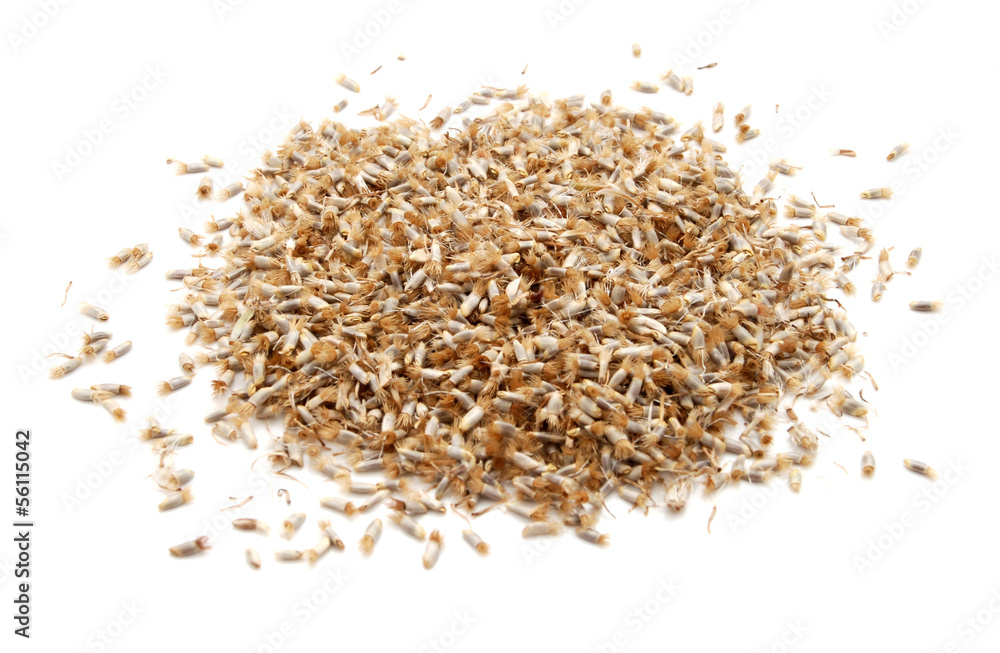 Cornflower seeds Cornflower seeds