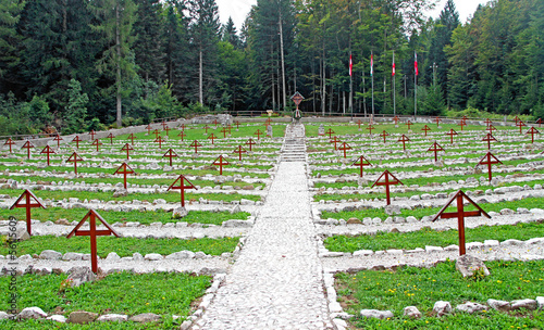 old Austrian Cemetery from World War I in the middle of the fore photo