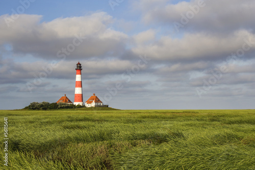Lighthouse in Salt Meadows