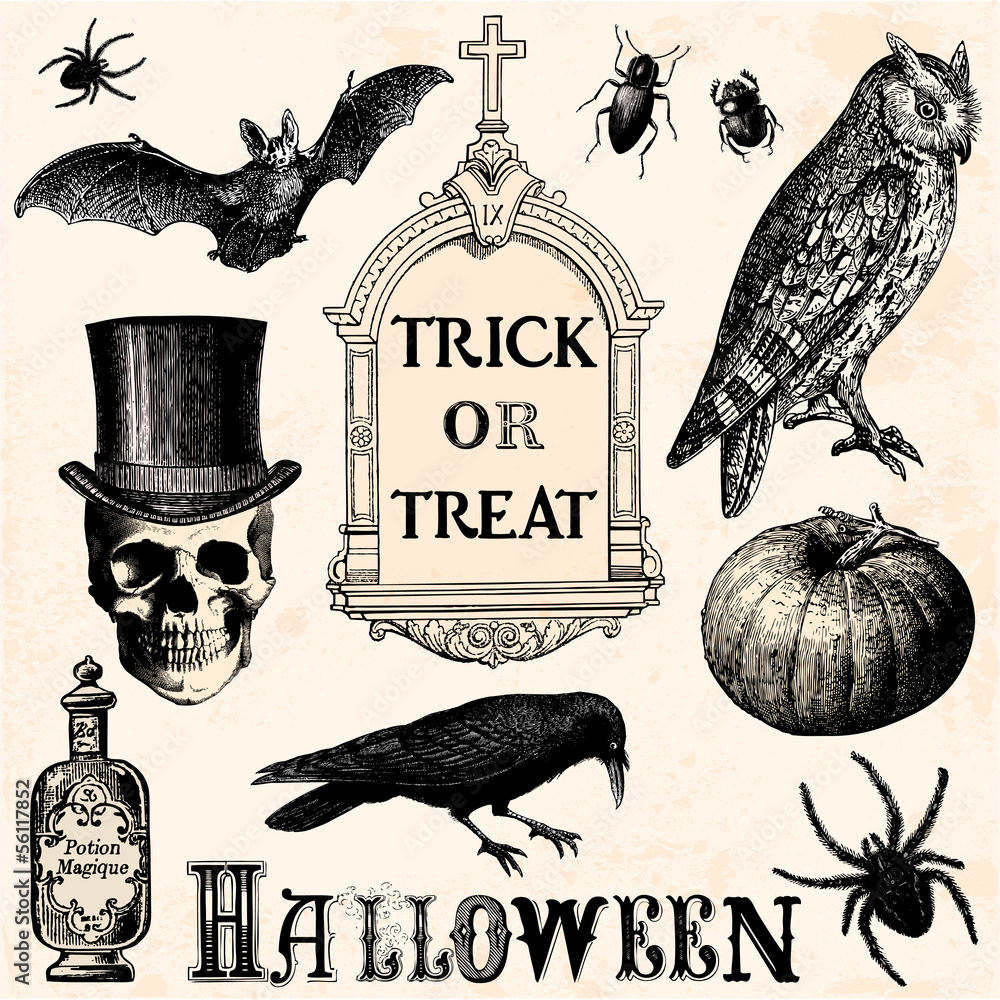 Naklejka premium Trick or treat - halloween elements