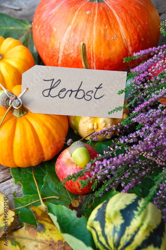 Dekoration im Herbst mit Kü...