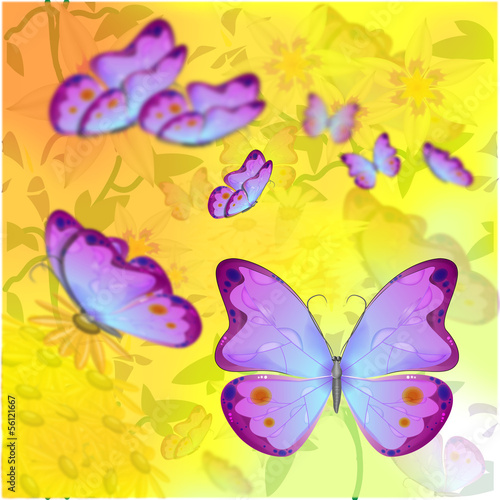 Butterflies © elementxd