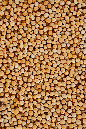 The texture of coarse dry peas vertical