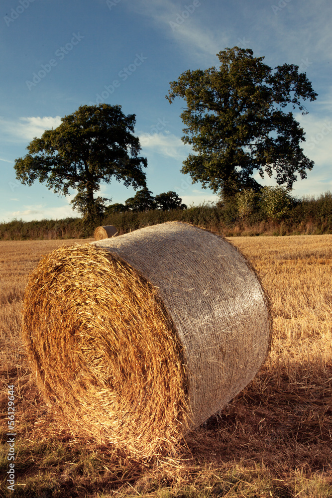 Hay bales on the field after harvest, uk