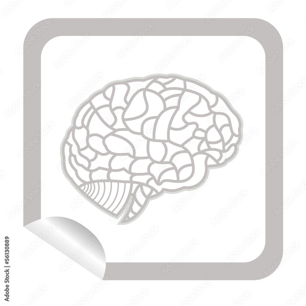 brain model on sticker icon web button. EPS10 illustration brain model on sticker icon web button. EPS10 illustration