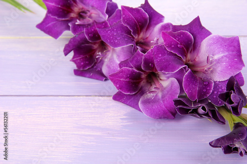 Fototapeta Naklejka Na Ścianę i Meble -  Beautiful gladiolus flower on wooden background