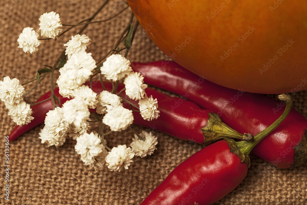 autumn harvest autumn harvest