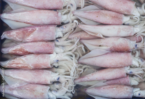 Fresh Squid in Tray at seafood market