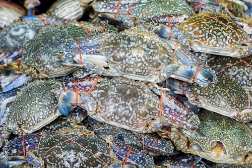 Fresh raw flower crab or blue crab in sedfood market