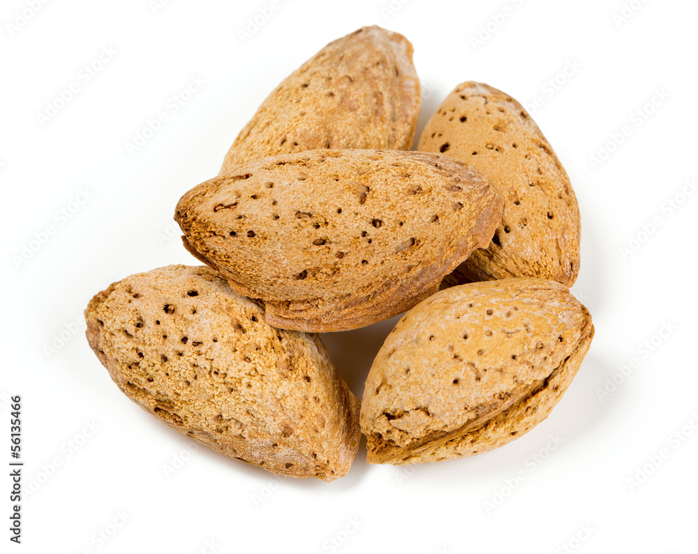 fresh almonds fresh almonds
