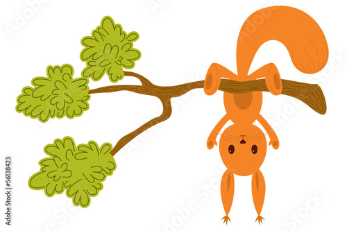 Little squirrel hangs upside down on a tree