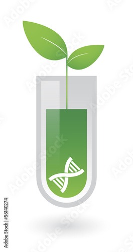 Illustration related to transgenics