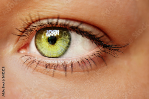 Eye
