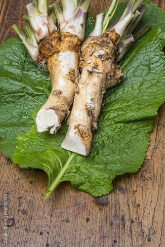 Obraz na plátně a fresh horseradish on a table