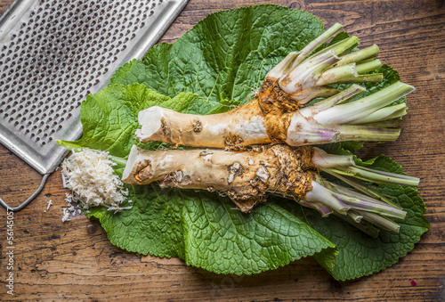 Obraz na płótnie grated horseradish on a table