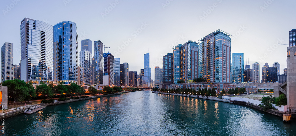 Naklejka premium Rzeka i budynki Chicago