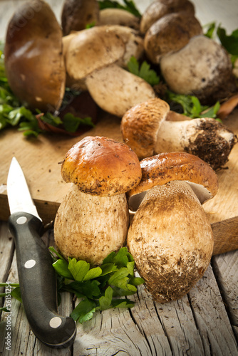 Mushrooms - Porcini