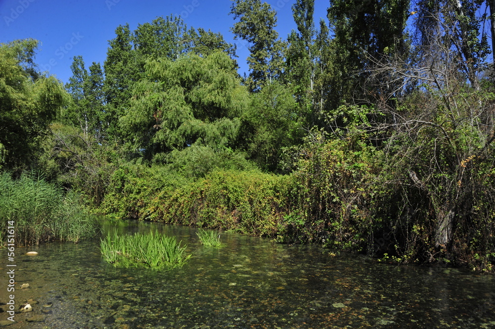 Lake at Banias Nature Reserve Lake at Banias Nature Reserve