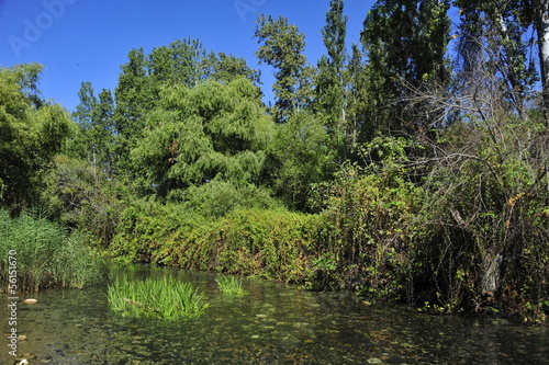 Lake at Banias Nature Reserve