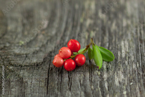 Red huckleberry on the table