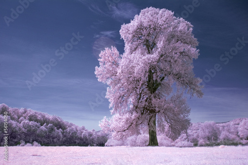 infrared landscape with old...