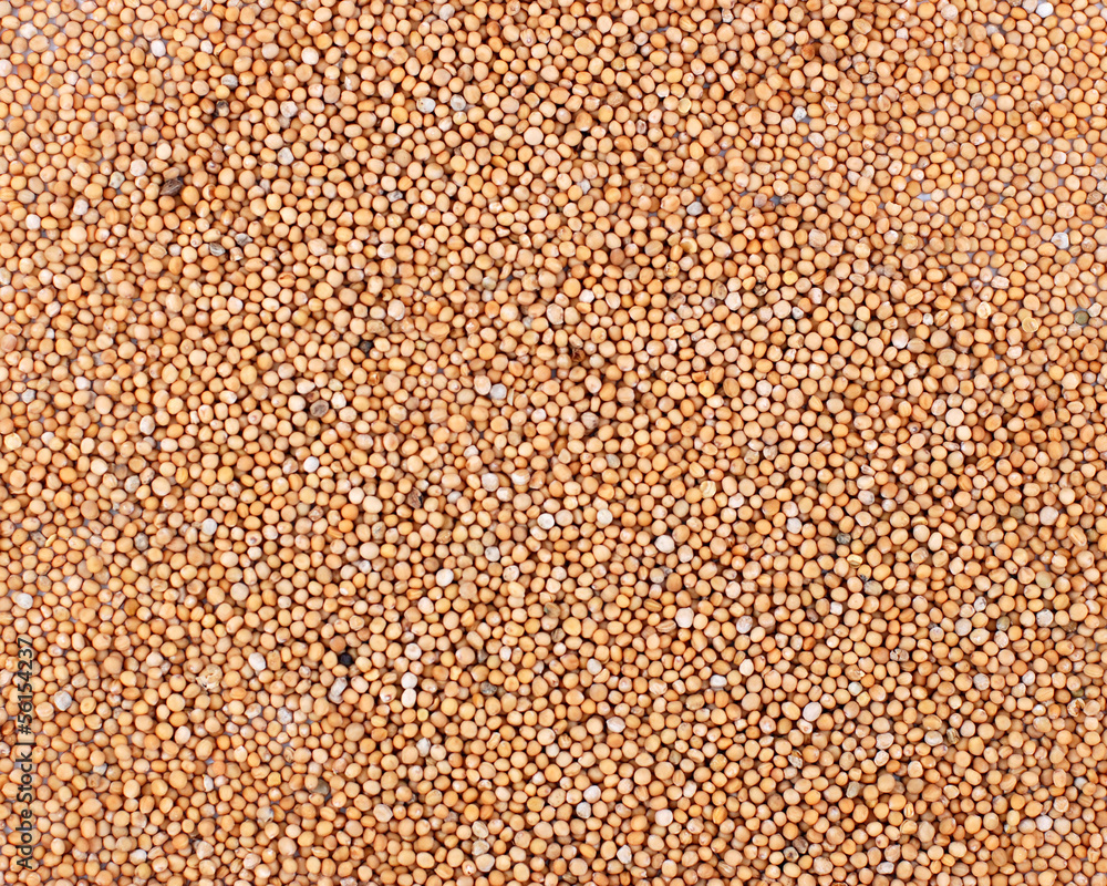 Mustard seeds background Mustard seeds background