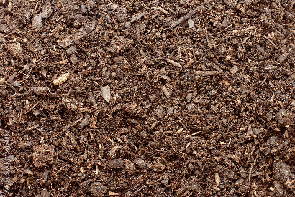 Fototapeta premium Compost, soil or dirt background