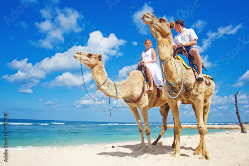 Wedding on a camel