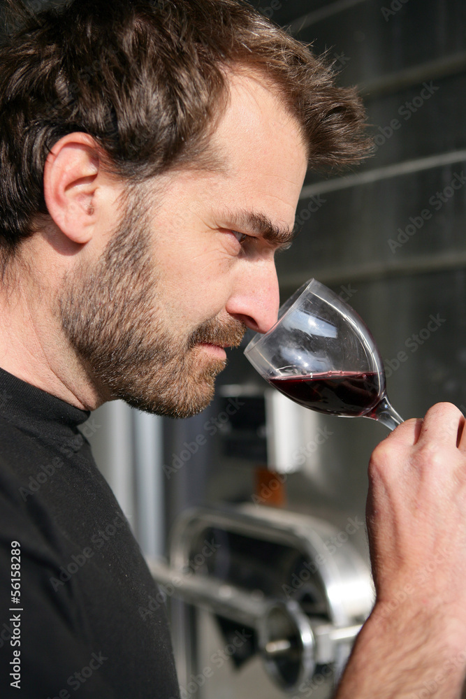 Wine connoisseur Wine connoisseur