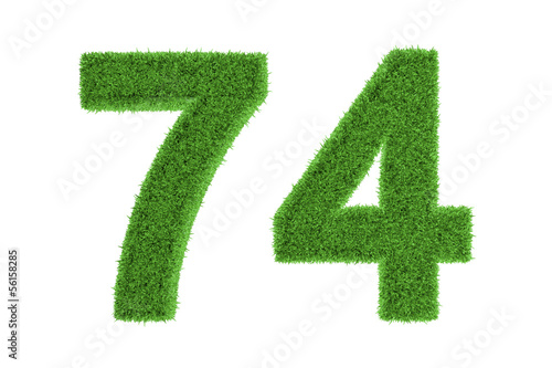 Number 74 with a green grass texture