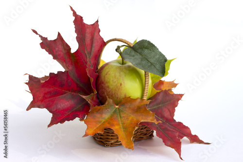 Apple and maple leaves in a basket.