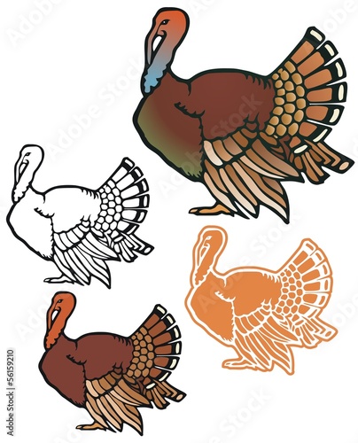 Fat turkey with variations