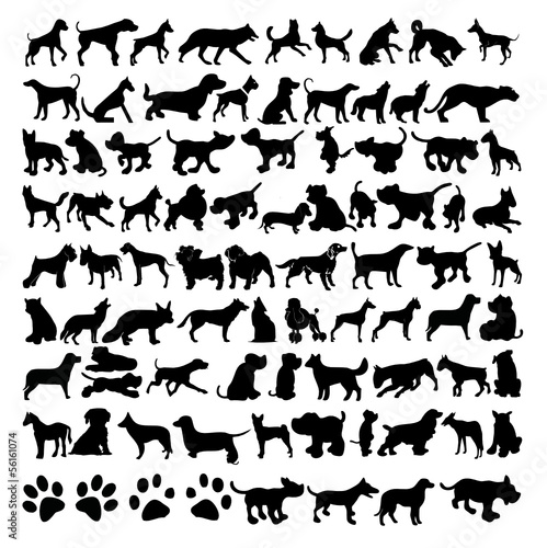 vektörel köpek siluetleri