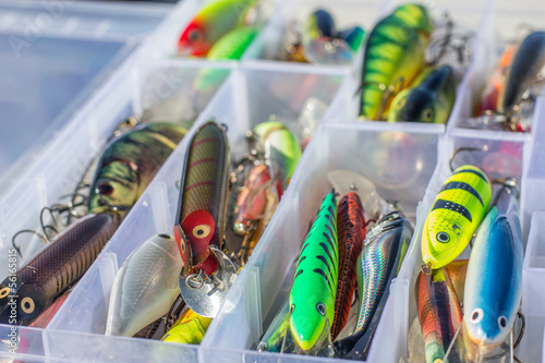 Set of fishing lures