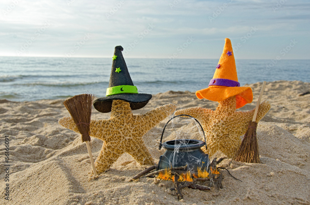 Obraz premium Halloween starfish witches with brooms