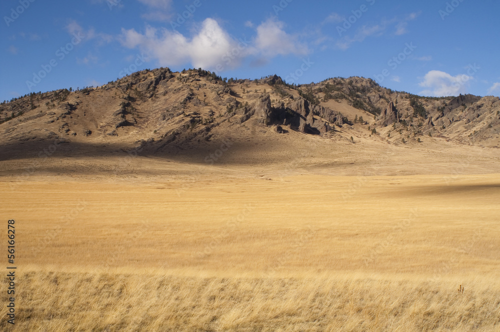 Beautiful Landscape Western United States Idaho Grass Land