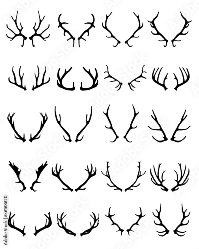 Set of silhouettes of deer horns, vector