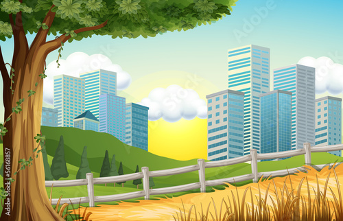 Hills with tall buildings nearby