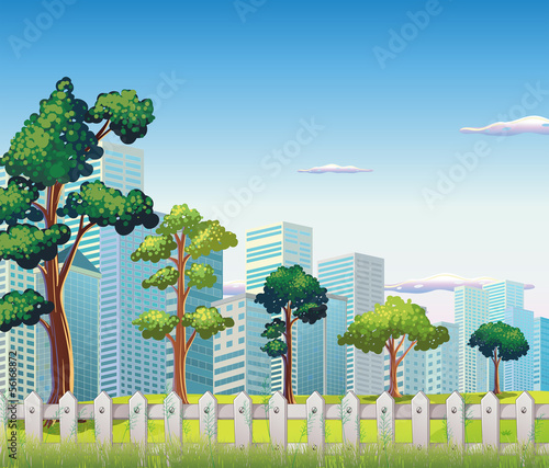 Trees inside the fence near the tall buildings