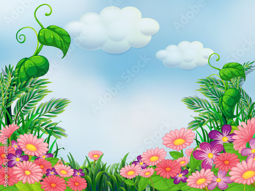 A garden with blooming pink and violet flowers