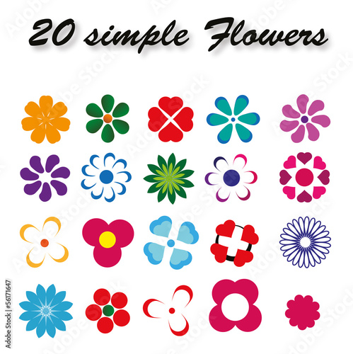 Flowers