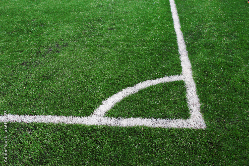 Fototapeta premium Soccer green field artificial grass with white lines