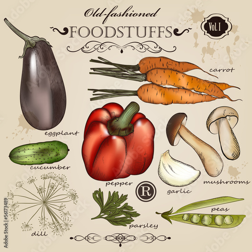 Set of vector old-fashioned vegetables and foodstuffs for design
