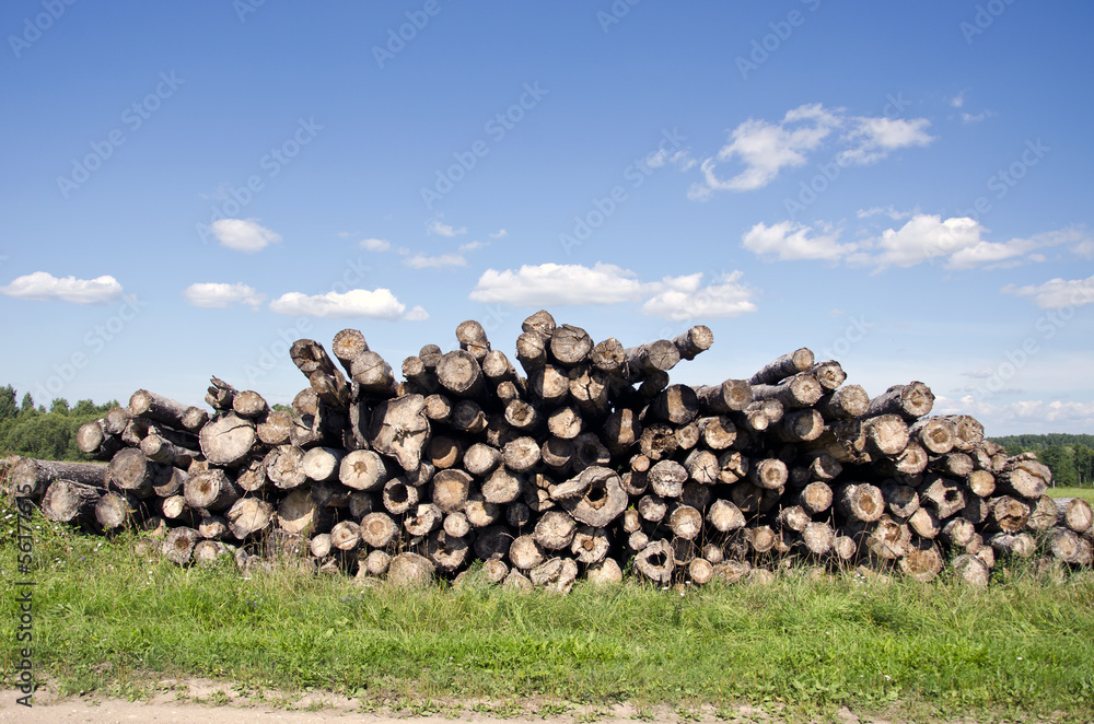 old log stack on field